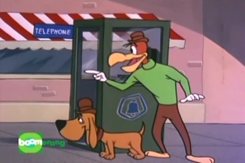 Ciocanitoarea Woody - Ciocanitoarea Woody