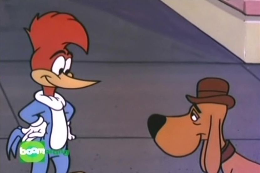 Ciocanitoarea Woody - Ciocanitoarea Woody