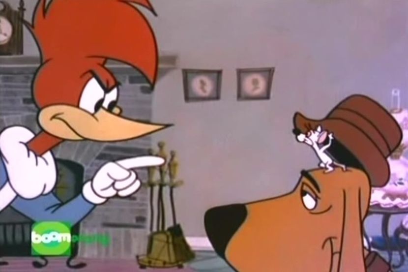 Ciocanitoarea Woody - Ciocanitoarea Woody