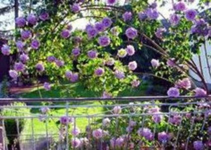 113631519_TKDJDLS3-1 - photos