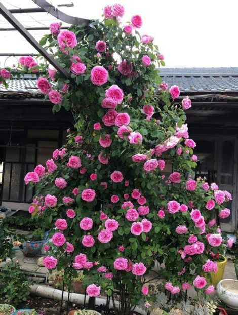 114859996_XZIWHQY3-1 - photos