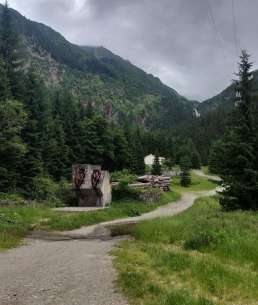  - Porumbei