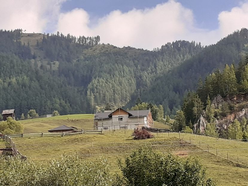  - Porumbei