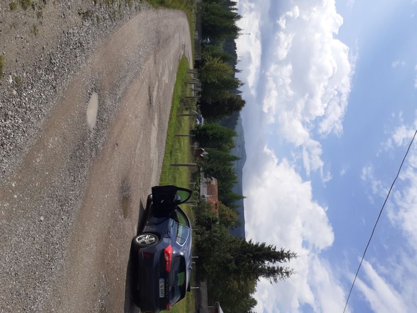  - Porumbei