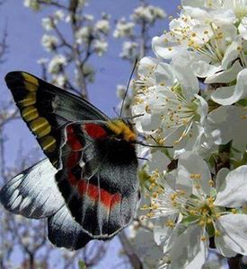 30624355_1922676711355580_2721598398972035072_n-1 - poze