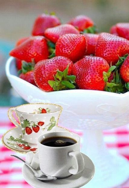 102802567_2662843783961174_4086478989203771812_n-1 - poze