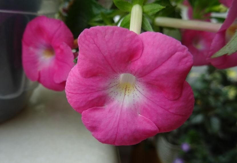  - 0001 2022 - BriD s GRETA