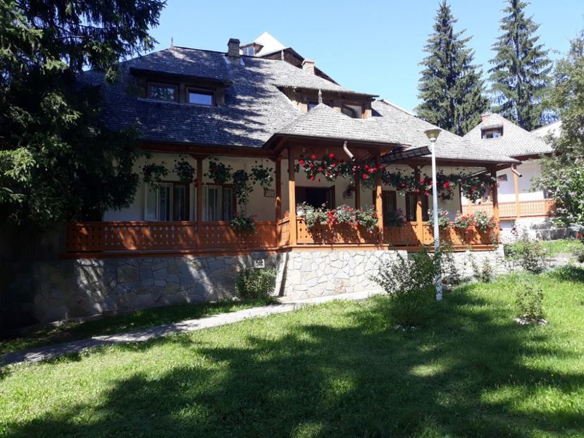 chilii durău 2022-08-25 at 16.29.34 - Bucovina aug 2022