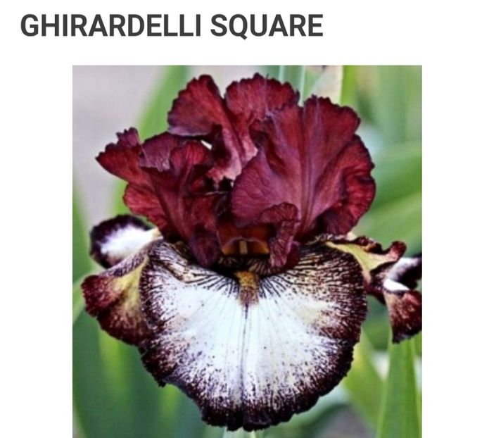  - Iriși achiziții 2022