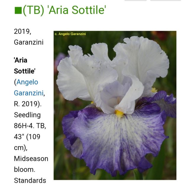  - Iriși achiziții 2022