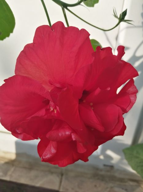  - Balsam pentru suflet