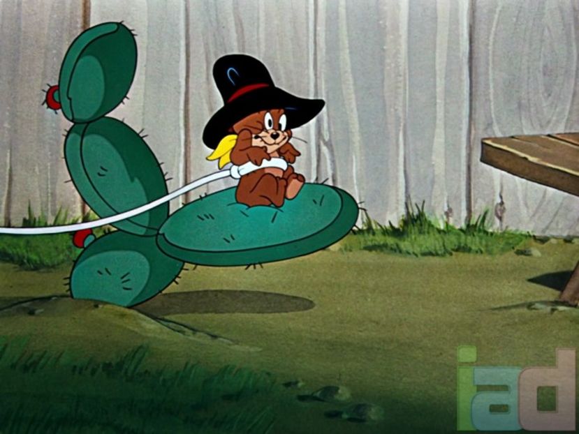 Tom si Jerry - Tom si Jerry Part 5