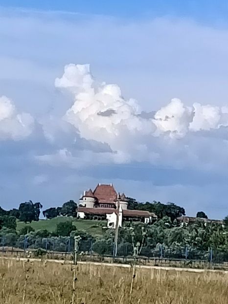 Img. 2022.07.31 - Grădina mea de la țară