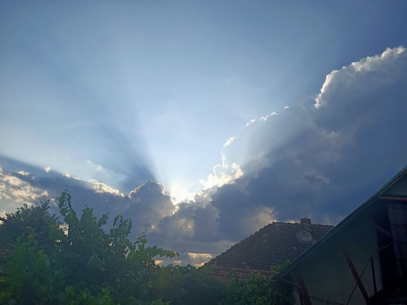 Img.2022.08.07 - Grădina mea de la țară