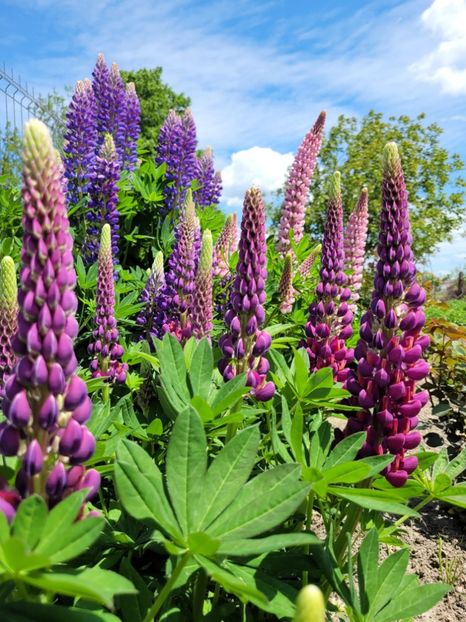 WhatsApp Image 2022-08-15 at 9.58.28 AM (1) - 2022