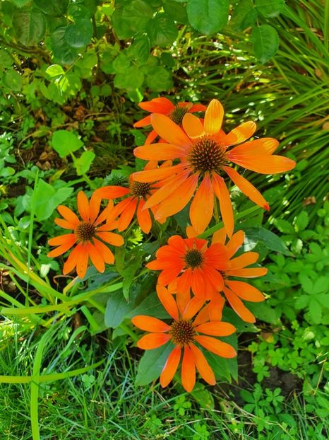 WhatsApp Image 2022-08-15 at 10.13.36 AM - 2022