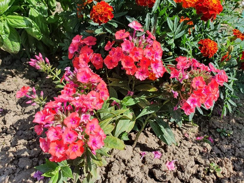 WhatsApp Image 2022-08-15 at 10.13.39 AM (1) - 2022