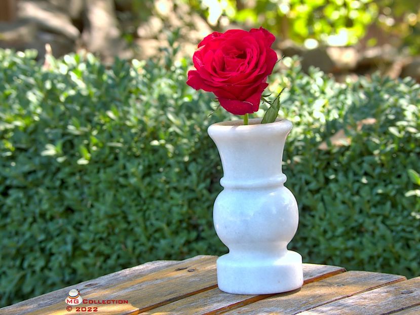 w-Red Rose 0 - FLORI - FLOWERS