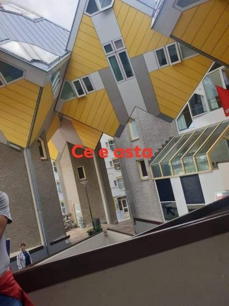 received_788395015942690 - Belgia tati