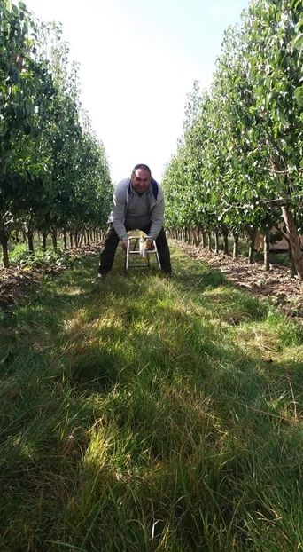 received_1108003076818849 - Tati mami Belgia