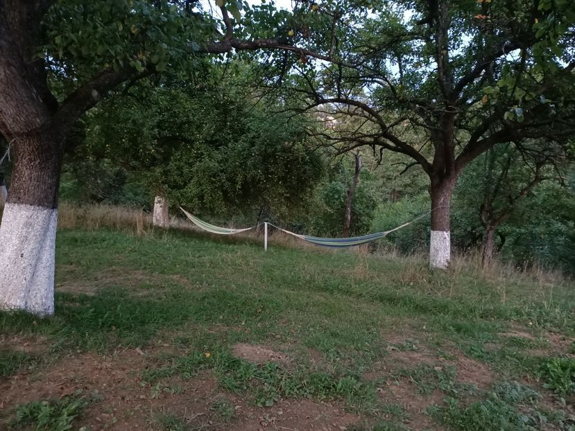 Img.2022.08.22 - Bran - Brașov