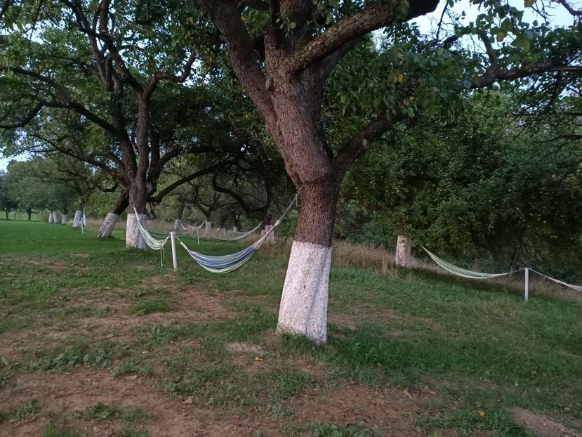 Img.2022.08.22 - Bran - Brașov