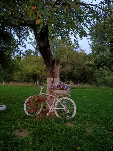 Img.2022.08.22 - Bran - Brașov