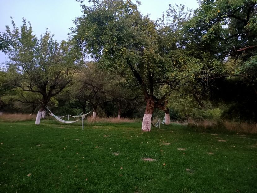 Img.2022.08.22 - Bran - Brașov