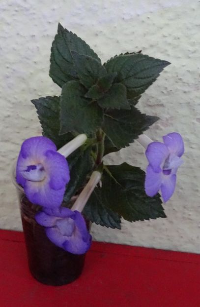  - 0001 2022 - BriD s HAPPYNESS