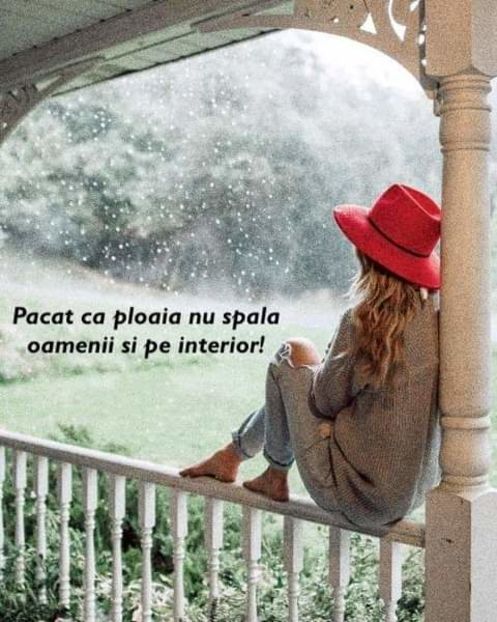  - peisaje