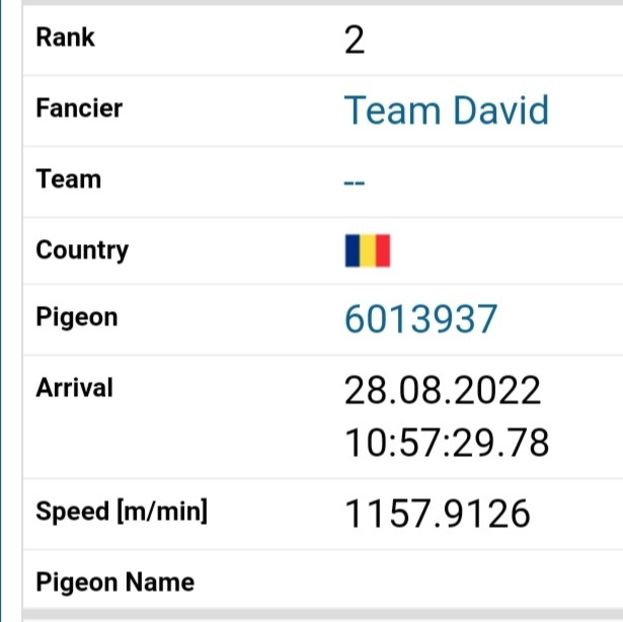 Maneuti - Loc.2 -275 KM - Porumbei columbodroame