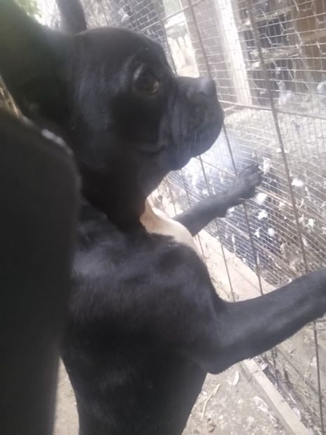 MVIMG_20220814_184607568 - Bodyguard