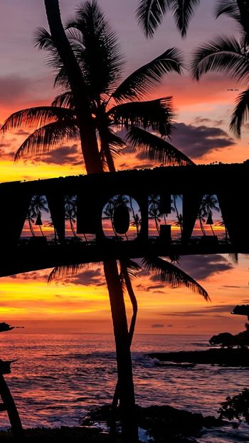  - - Aloha !