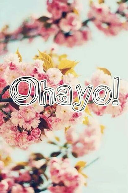  - - Ohayo !