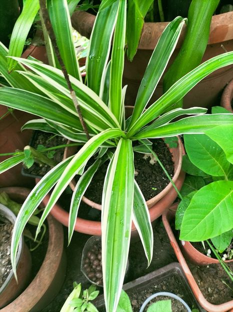 IMG20220906111825 - Septembrie 2022