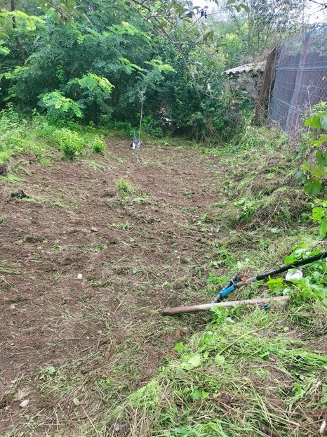 IMG20220906105448 - Septembrie 2022