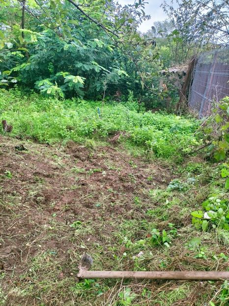 IMG20220906100543 - Septembrie 2022