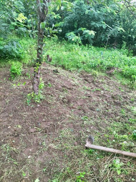 IMG20220906100540 - Septembrie 2022