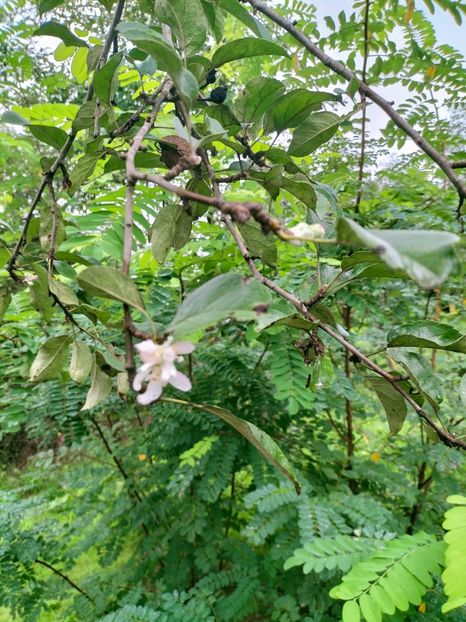 IMG20220906100453 - Septembrie 2022