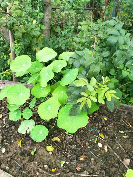 IMG20220906100355 - Septembrie 2022