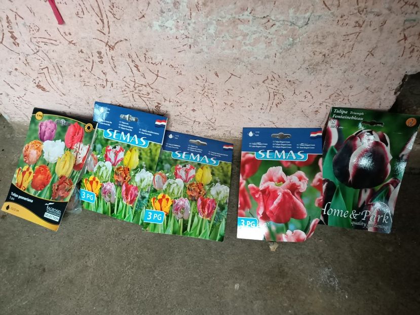 Img.2022.09.07 - Grădina mea de la țară