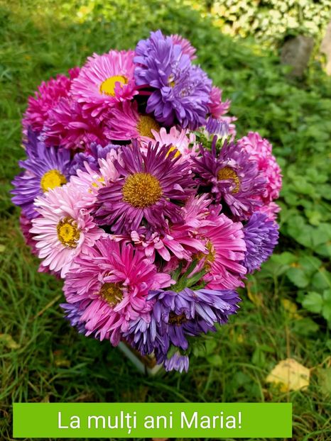  - La mulți ani Maria