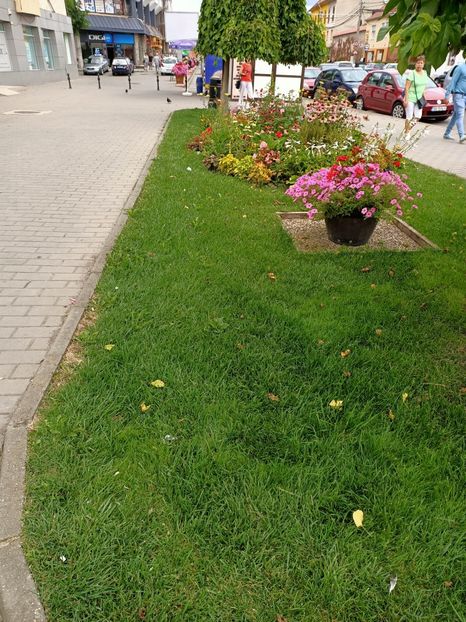 Img.2022.08.02 - Mediaș- Sighișoara - Târnăveni