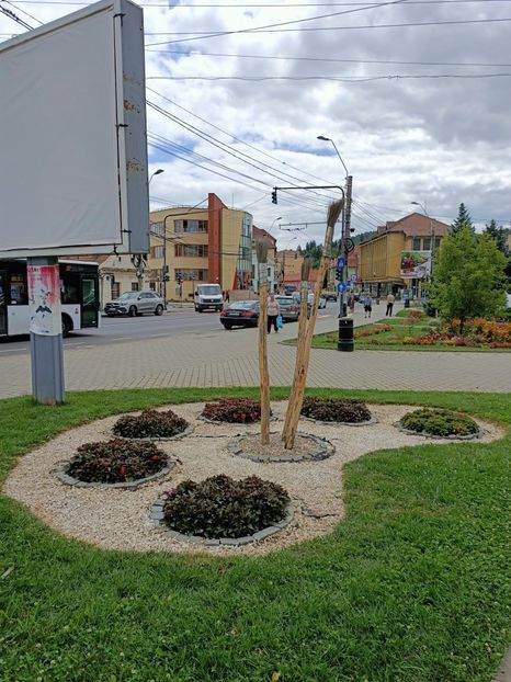Img.2022.08.02 - Mediaș- Sighișoara - Târnăveni