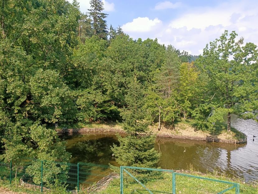 Img.2022.08.30 - Sovata