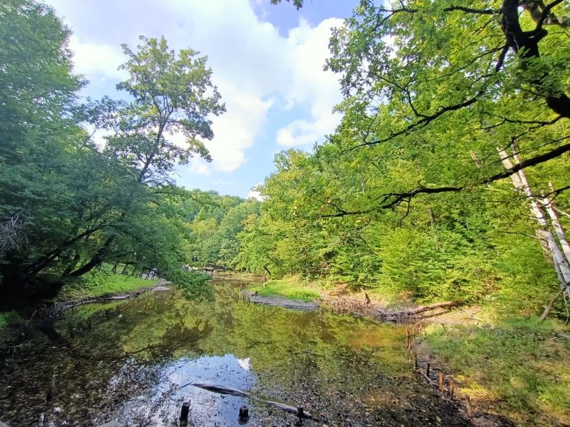 Img.2022.08.30 - Sovata