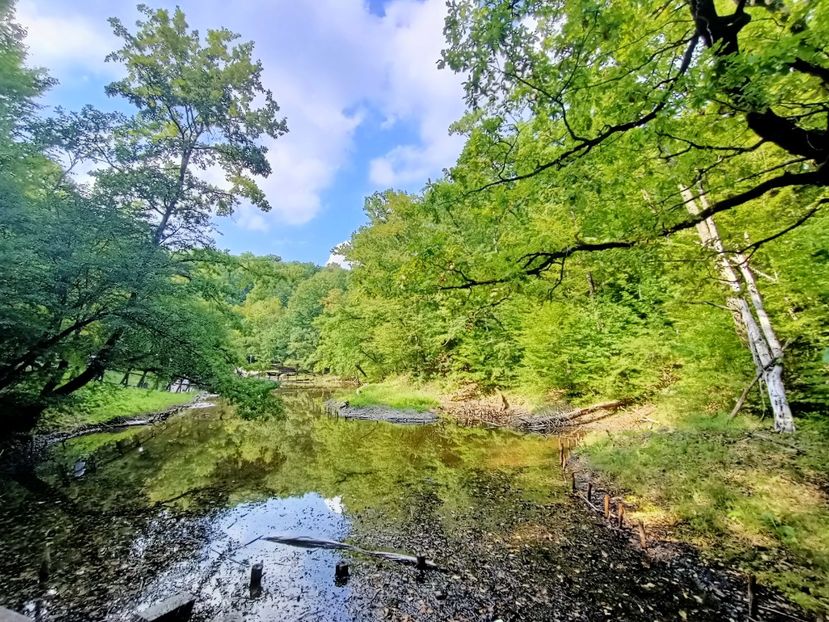 Img.2022.08.30 - Sovata