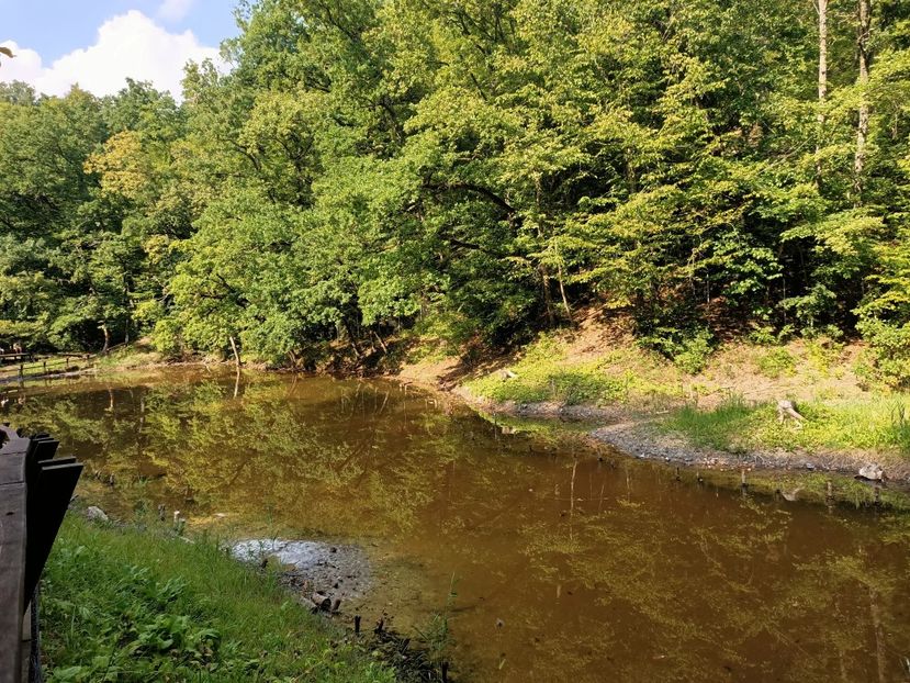 Img.2022.08.30 - Sovata