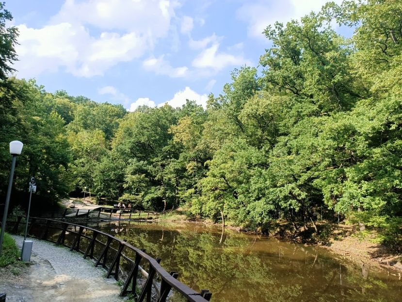 Img.2022.08.30 - Sovata