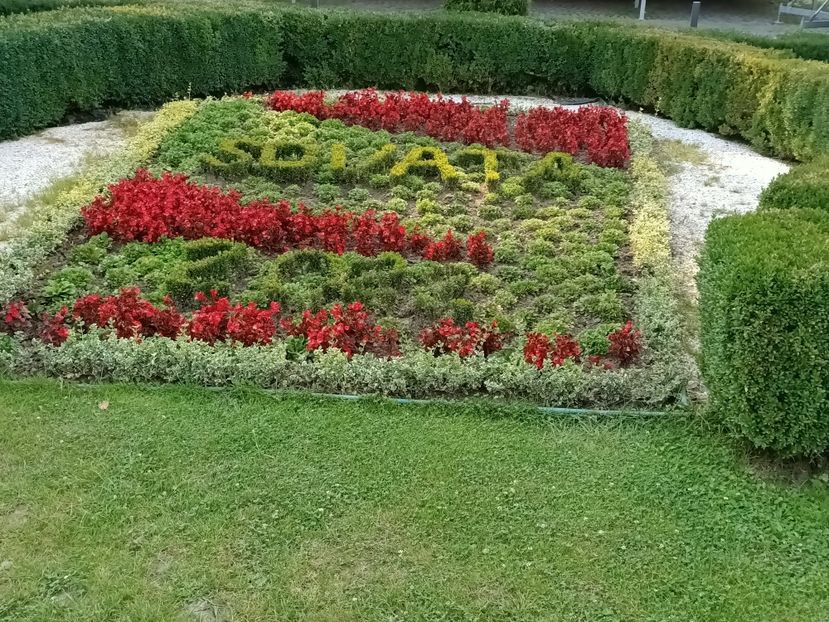 Img.2022.08.30 - Sovata